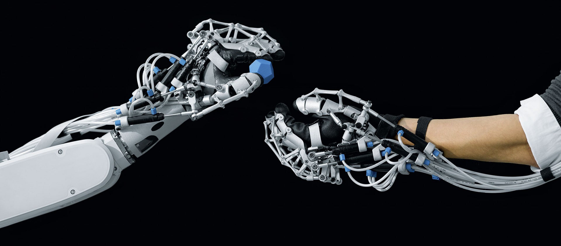Festo